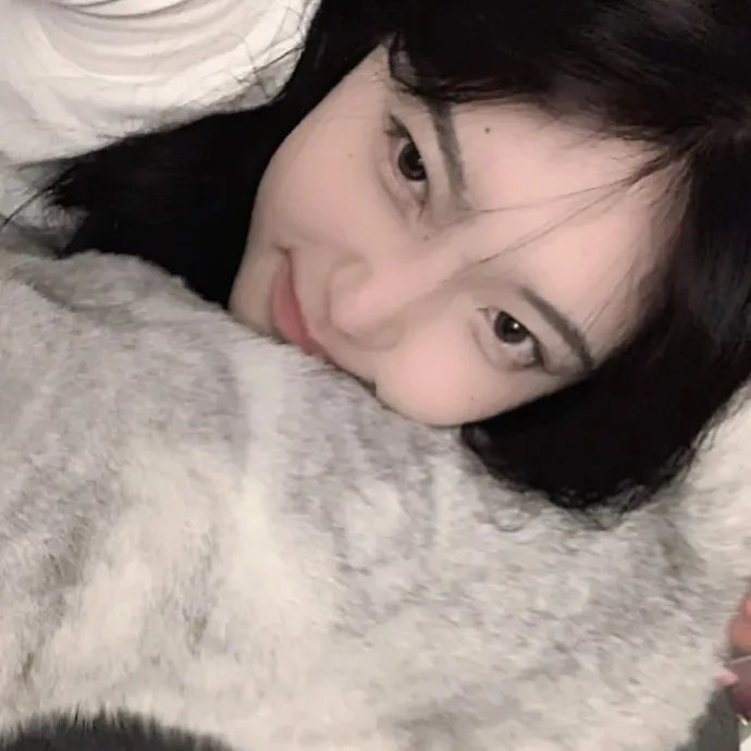 炮打双灯 高清在线观看